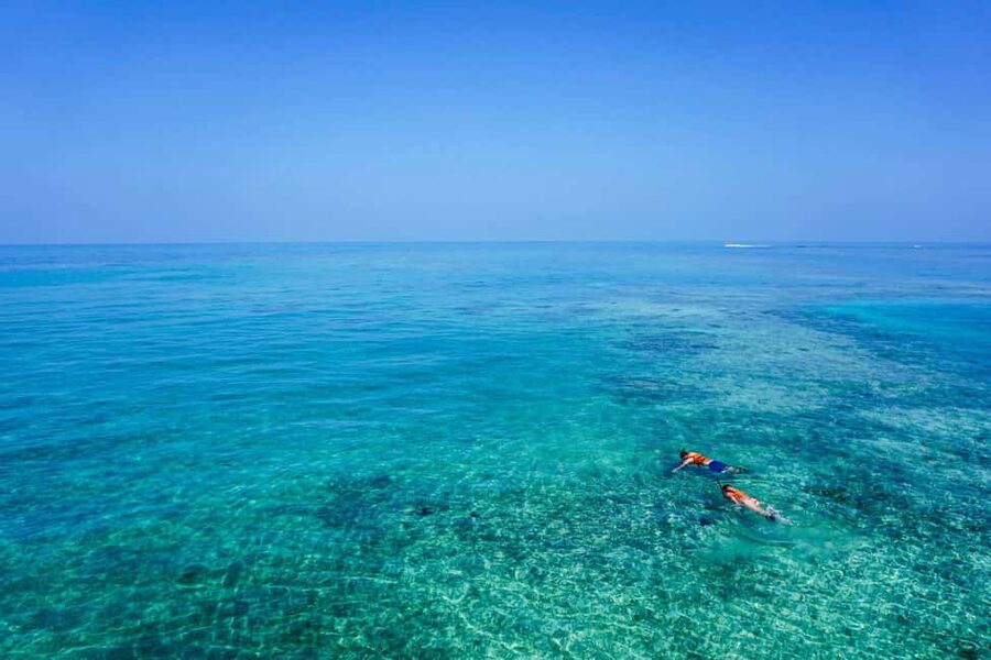 Whale Shark swimming ocean safari all included tour - Whale shark swimming rules: couples, spacing, and a guide who places you