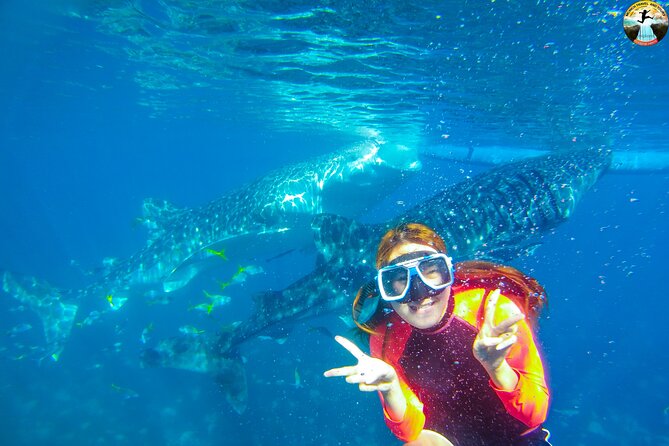 Whale Shark Swimming, Tumalog Falls and Kawasan Canyoneering - Key things I’d mark before you go