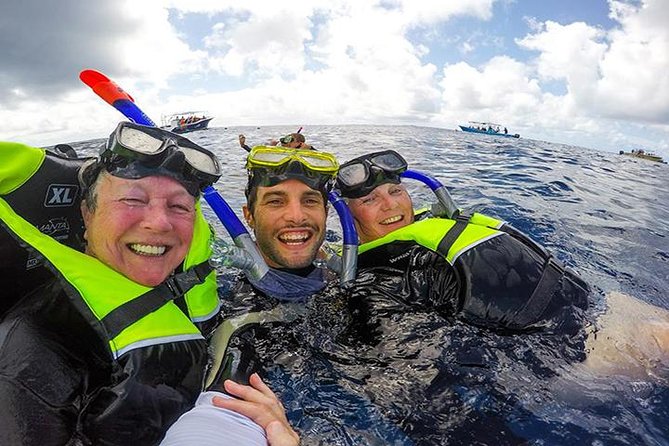 Whale Shark Tour from Cancun, Playa del Carmen, Tulum and Riviera Maya - Whale Sharks Near Cancun: Why This Tour Works Better Than a Random Charter