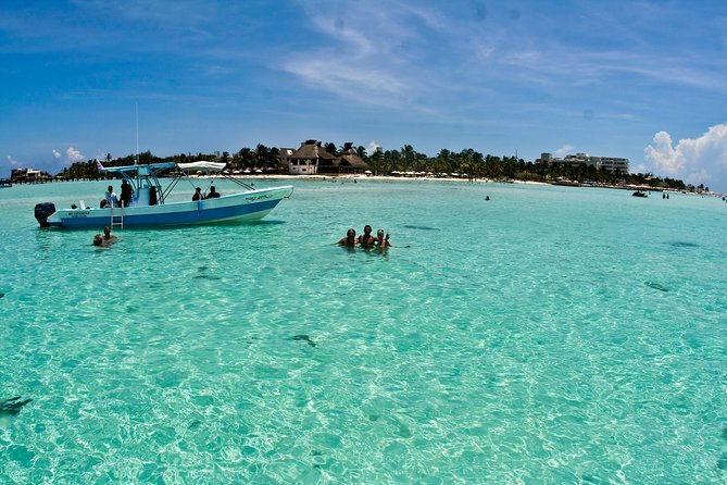 Whale Shark Tour from Cancun, Playa del Carmen, Tulum and Riviera Maya - Isla Contoy National Park: The Speedboat Run and Wildlife Scanning Before the Main Event