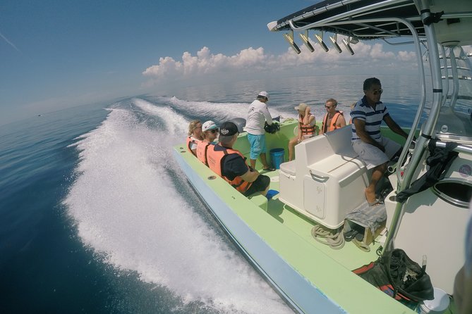 Whale Shark Tour from Cancun, Playa del Carmen, Tulum and Riviera Maya - Snorkeling After the Sharks: Isla Mujeres Reef Time (and When It Can Feel Rushed)