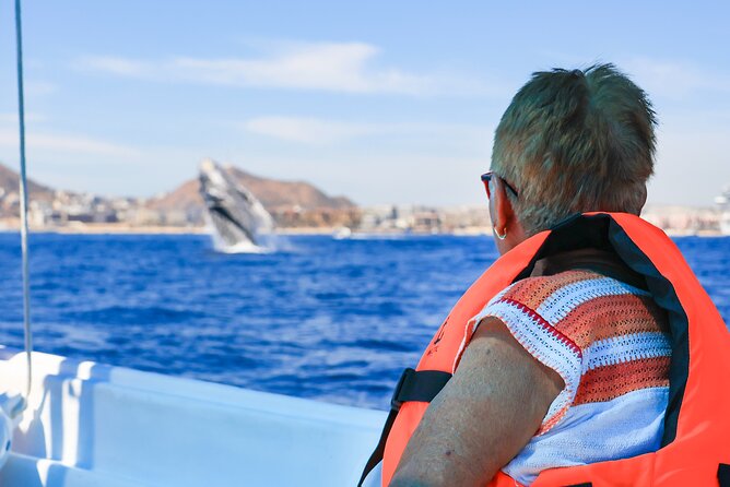 Whale Tour, Arch, Professional Photos & Hydrophone - What this tour feels like on the water
