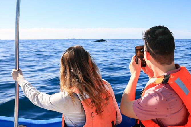 Whale Tour, Arch, Professional Photos & Hydrophone - The whale part: respectful watching, education, and conservation support