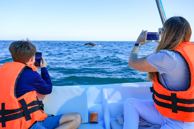 Whale Tour, Arch, Professional Photos & Hydrophone - Stop 1: Arch of Cabo San Lucas photo time and why it matters