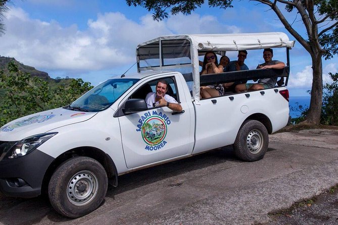 Whale Tour - Observe and swim with whales - Price and value: is $270.63 a fair deal?