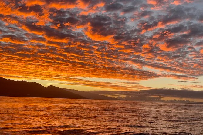 Whale Watch and Scenic Tour from Kayak - Olowalu Beach start: easy meet-up, strong safety briefing