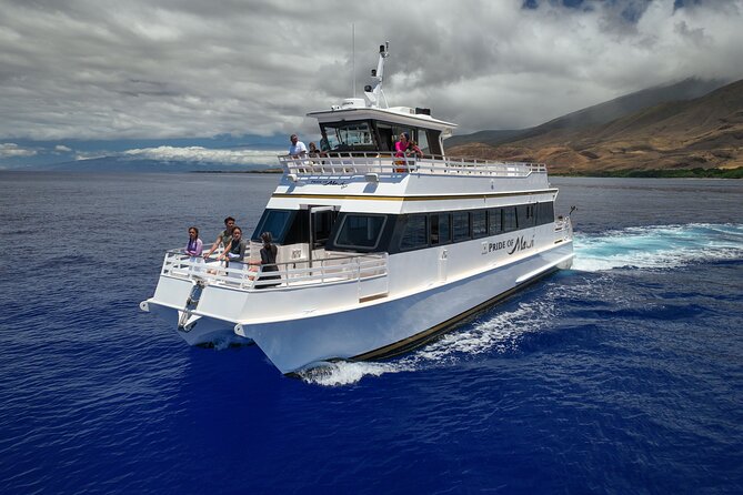 Whale Watch and Turtles Snorkel - Whale watching with a built-in safety net