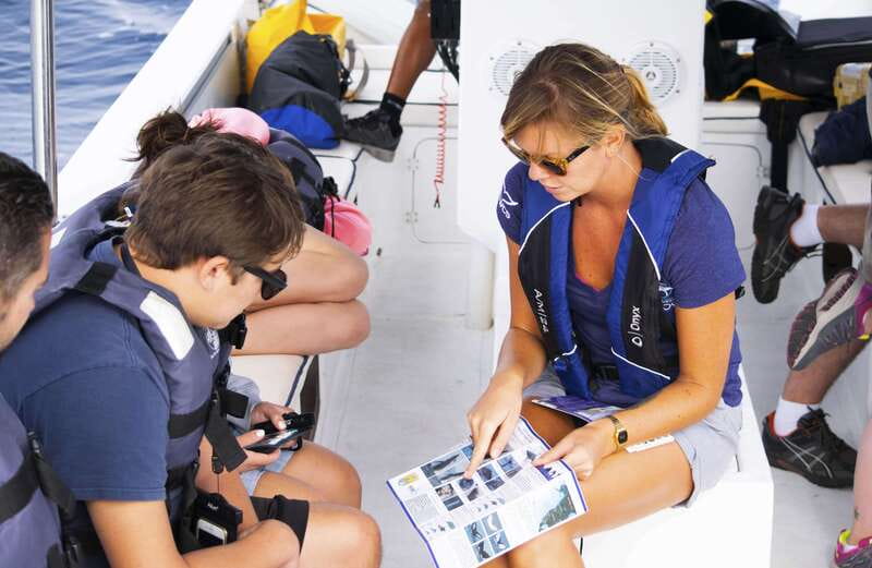 Whale Watch Cabo: Zodiac Whale Adventure - FREE Photos - Key things that make this whale watch worth your time