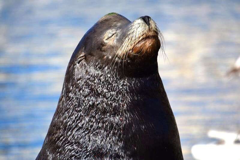 Whale Watch Cabo: Zodiac Whale Adventure - FREE Photos - Free tour photos via Dropbox: the value-add you’ll actually use
