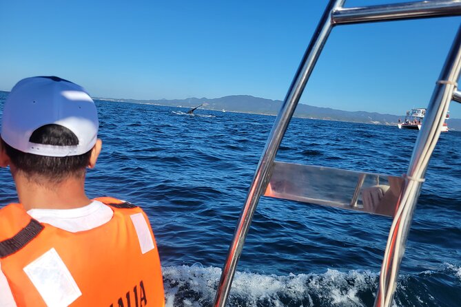 Whale watching 3 hours in Puerto Vallarta - Language on board: English is offered, Spanish may be what you get