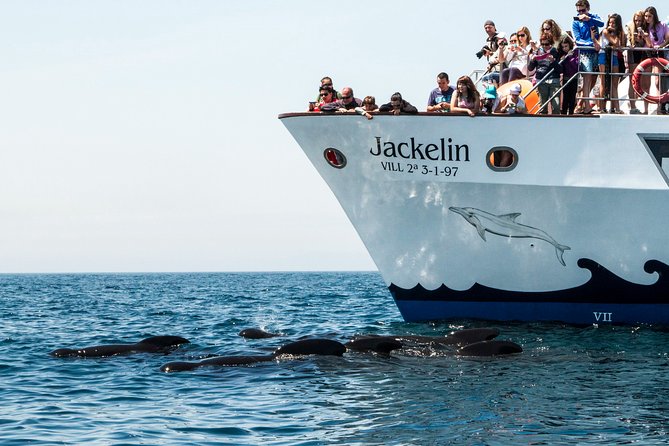 Whale Watching - Your time on the water: how the 2.5 hours usually feel