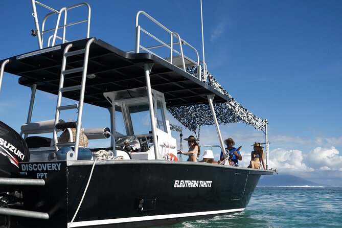 Whale Watching Activity - Price and value: Is $285.44 worth it?