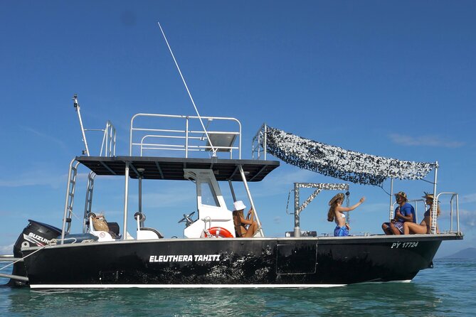 Whale Watching Activity - Marina Taina start: How you’ll get ready fast