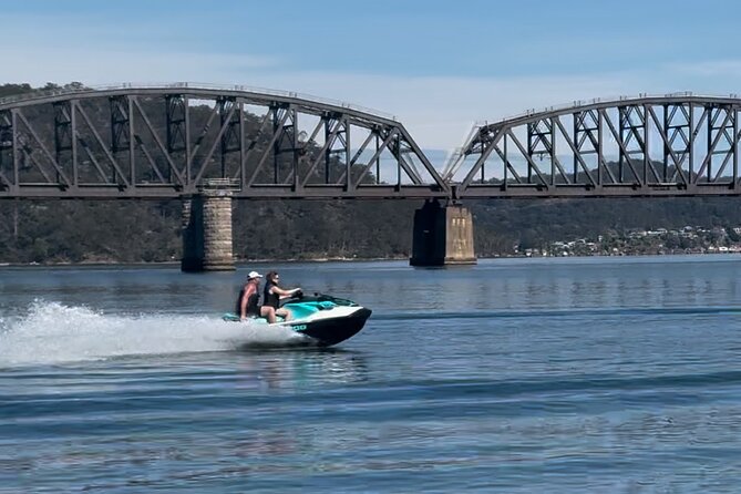 Whale Watching Adventure Cruise - Weather, Wind, and Why Dress Matters on a Speed Boat