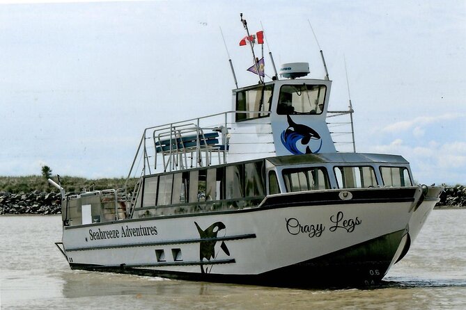 Whale Watching Adventure from Vancouver BC - The crew game plan: naturalist notes and a captain who respects space