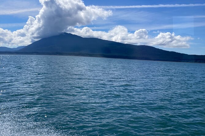 Whale Watching Adventure in Juneau - Meet your crew: naturalists and captains you’ll hear about
