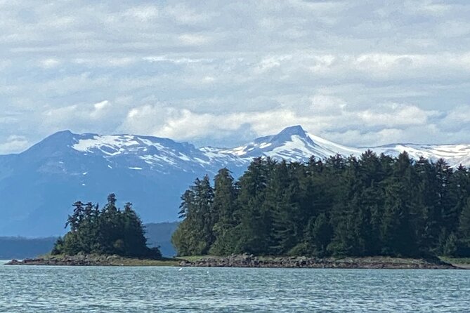 Whale Watching Adventure in Juneau - Who this trip fits best in Juneau