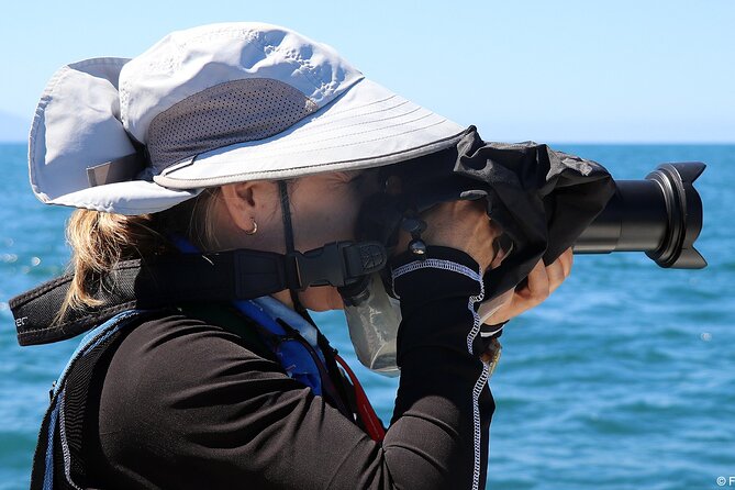 Whale Watching Adventure – Led by a Marine Biologist - How the Short Duration Works in Your Favor
