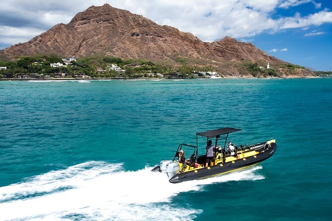 Whale Watching Adventure -Speed Boat & Small Group - Snacking, drinks, and how to time your energy
