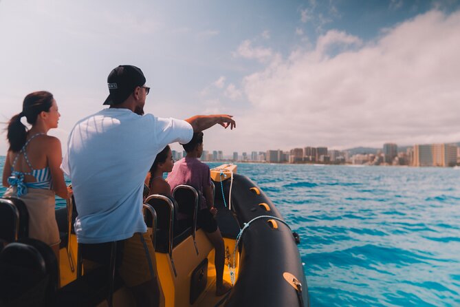 Whale Watching Adventure -Speed Boat & Small Group - Price and value: is $105 worth it for Oahu whale time?