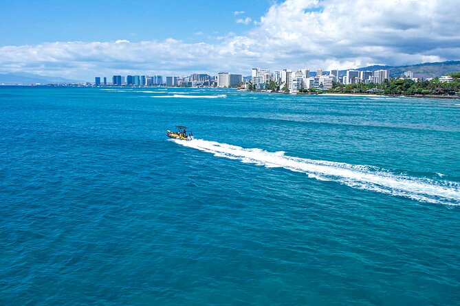 Whale Watching Adventure -Speed Boat & Small Group - Practical fit: who should book this whale watching speed tour