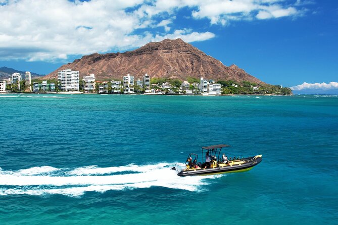 Whale Watching Adventure -Speed Boat & Small Group - The boat setup: small craft, big views, and what that means