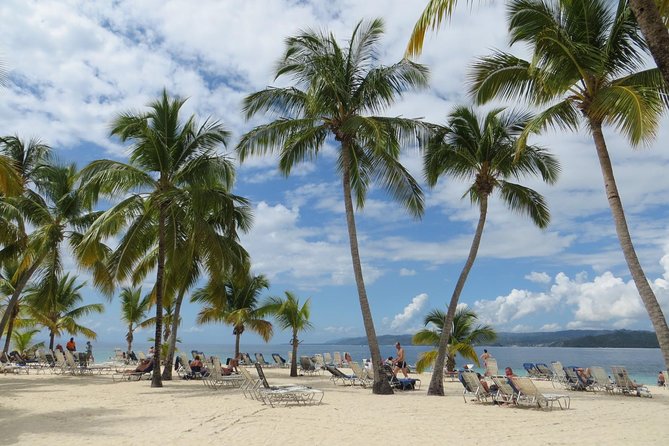 Whale Watching and Bacardi Island day trip from Punta Cana - Price and Value: What You’re Actually Paying For at $158.99