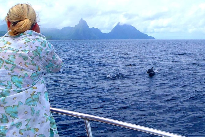 Whale Watching and Dolphin Spotting Cruise - Key things to know before you go