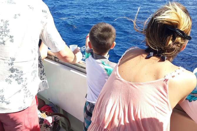 Whale Watching and Dolphin Spotting Cruise - What can disappoint, and how to lower your odds of a letdown