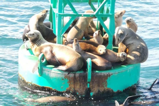 Whale Watching and Fishing Combination Excursions - Price and Value: Is $170 Per Person Fair?