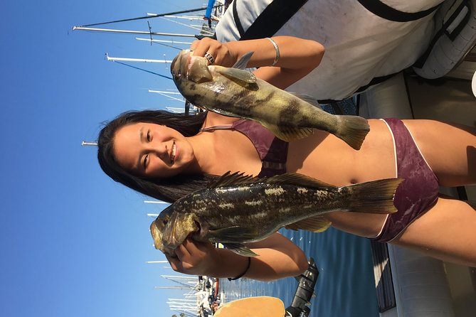 Whale Watching and Fishing Combination Excursions - Where You Meet: Off The Grid and Dock 13