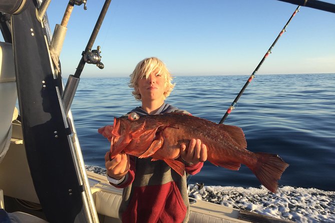 Whale Watching and Fishing Combination Excursions - Weather, Timing, and What to Do If Things Go Wrong