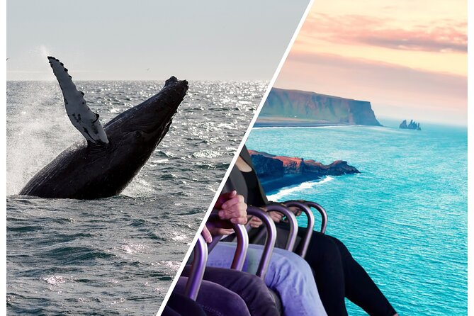 Whale Watching And Fly Over Iceland Guided Tour - A combo that’s built for comfort and photos