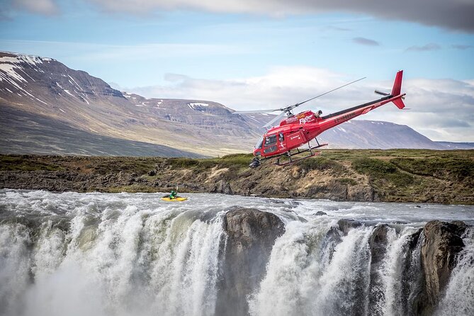Whale Watching And Fly Over Iceland Guided Tour - Timing matters: how the tour slots fit your Reykjavik day