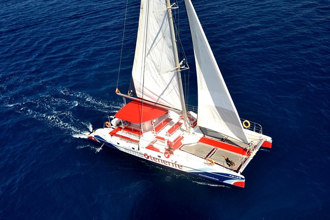 Whale Watching and Listening Eco Catamaran Tour with Food Tasting - Setting Sail from Costa Adeje: Morning Logistics That Matter