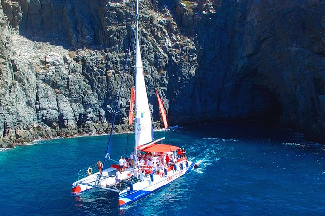 Whale Watching and Listening Eco Catamaran Tour with Food Tasting - White Tenerife Stop: Swimming, Snorkeling, and Wildlife Viewing All in One
