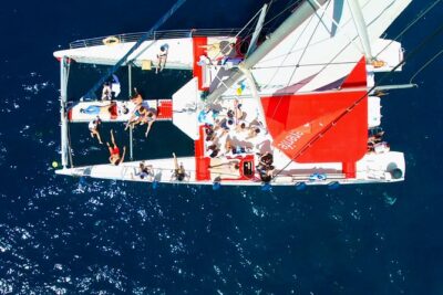 Whale Watching and Listening Eco Catamaran Tour with Food Tasting - The Open Deck Advantage for Whale and Dolphin Spotting