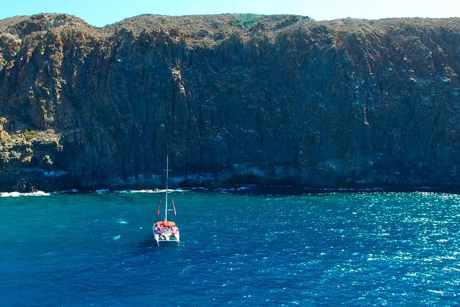 Whale watching and listening Eco-Catamaran Tour with Food Tasting - Who this tour is best for (and who might rethink it)