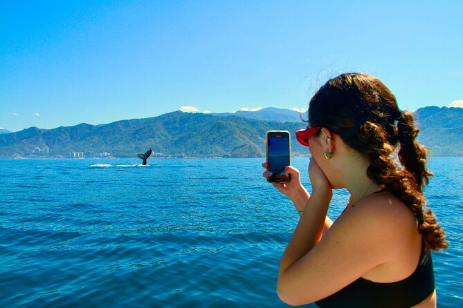 Whale Watching and Los Arcos 5 Islands Adventure - Key Things I’d Plan for on This Whale + Los Arcos Tour