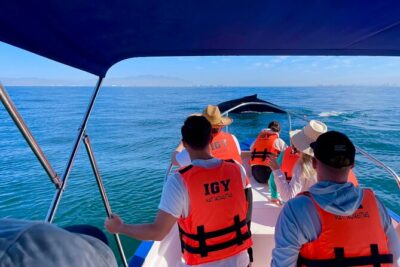 Whale Watching and Los Arcos 5 Islands Adventure - Cruising the Bay of Banderas for Humpback Whales and Dolphins