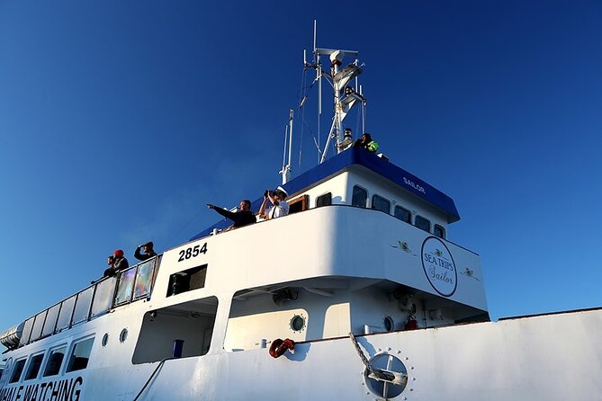 Whale Watching and Marine Life Tour in Reykjavik - Price and value: is $98 worth it?