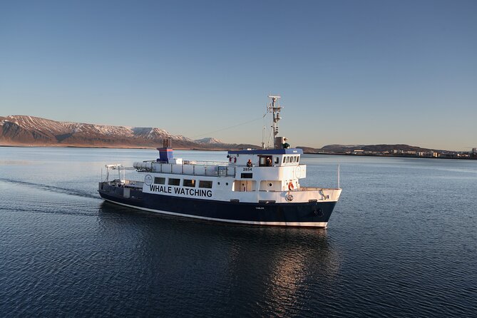 Whale Watching and Marine Life Tour in Reykjavik - Faxafloi Bay panoramas: islands, distant views, and the shape of the hunt