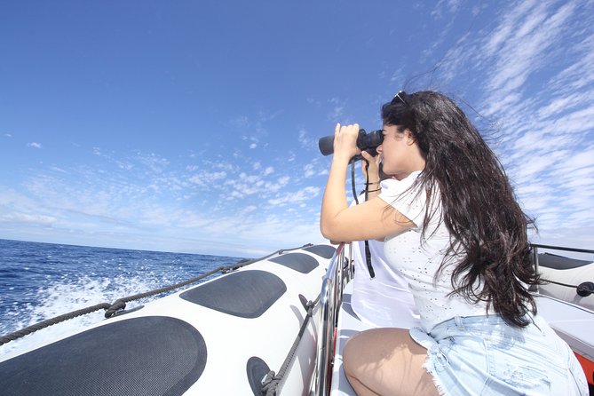 Whale Watching and Marine Science Tour - Pass Rasca lighthouse and Malpaís de Rasca volcanic formations