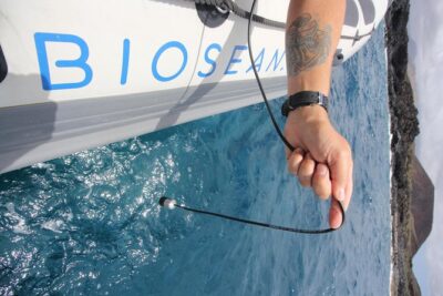 Whale Watching and Marine Science Tour - Getting to Biosean at Marina del Sur (Las Galletas)