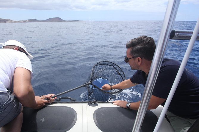 Whale Watching and Marine Science Tour - A capped group of 10: better questions, better attention