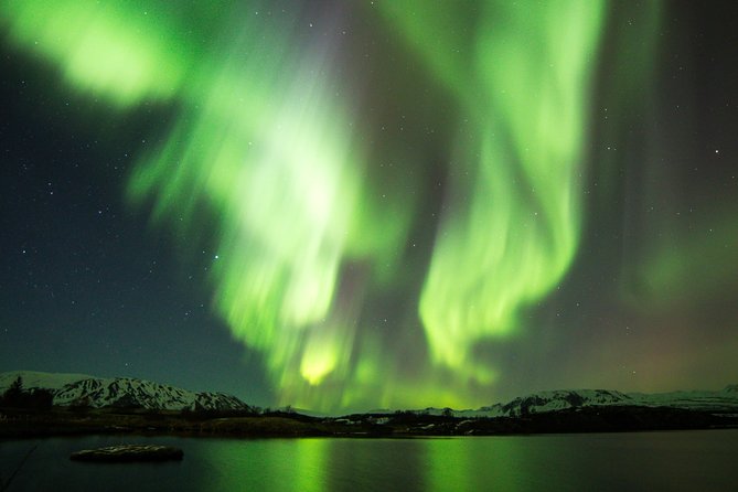 Whale Watching and Northern Lights Half-Day Combo Tour - Why this Reykjavik whale-and-northern-lights combo makes sense
