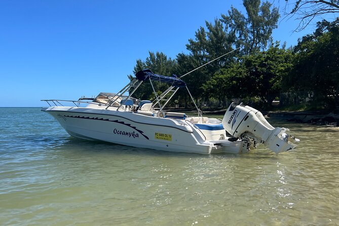 Whale Watching and Private Ocean Safari Experience in Mauritius - Black River Bay Start: What Makes This Morning Work