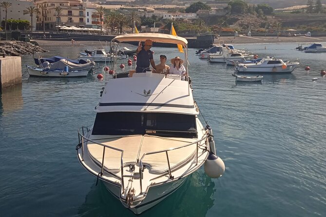 Whale watching and snorkelling in the whale sanctuary - Learning Onboard: Captain Talk That Actually Helps You See