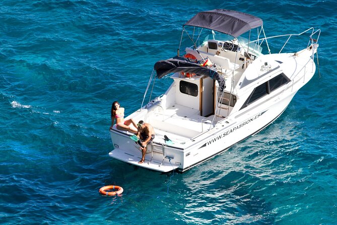 Whale watching and snorkelling in the whale sanctuary - What’s Included: Lunch, Drinks, and a Whale-Watching Guide