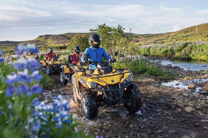Whale Watching & ATV Adventure from Reykjavik - Should you book Whale Watching & ATV Adventure from Reykjavik?